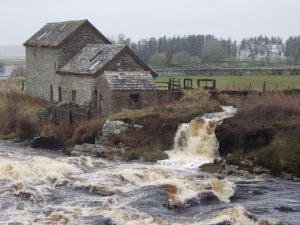 Children's Respite trust photography competition winners