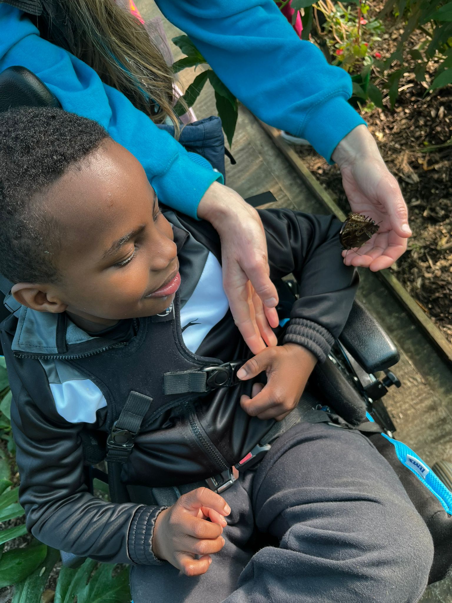 Enjoying the butterflies on an outing 